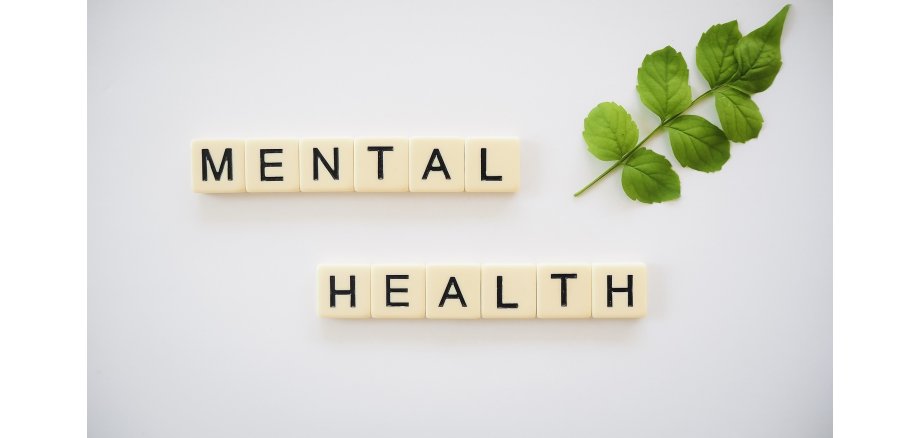 Würfel die die Worte Mental Health bilden und ein grüner Zweig