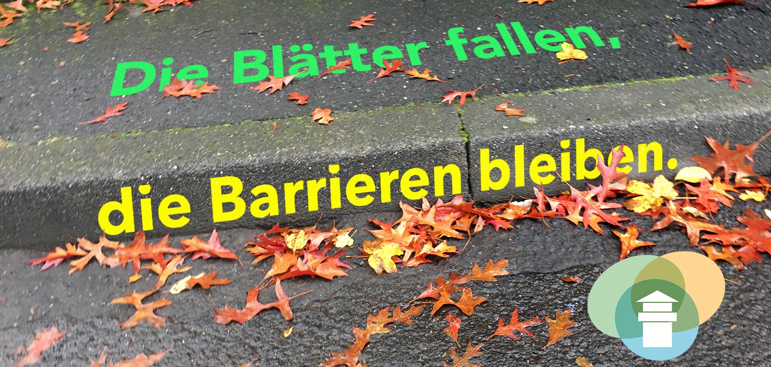 Bordsteinkante mit Laubblättern