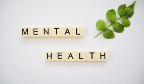 Mentale Gesundheit Würfel die die Worte Mental Health bilden und ein grüner Zweig